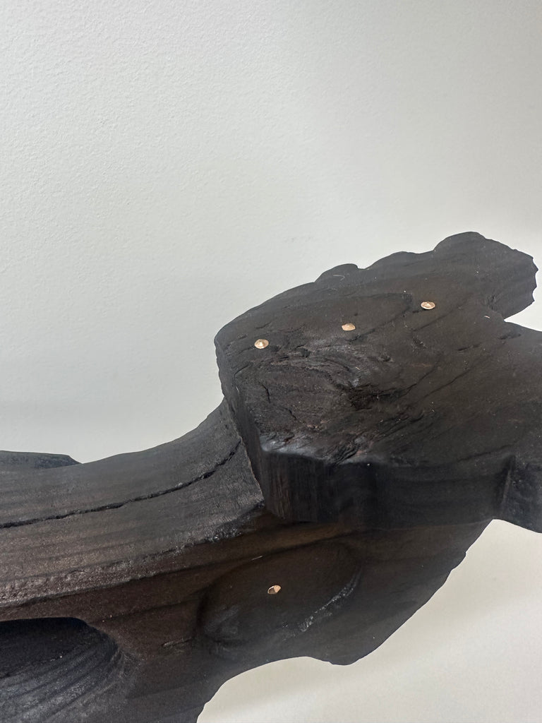 Kāhui Tohorā 5 no.10